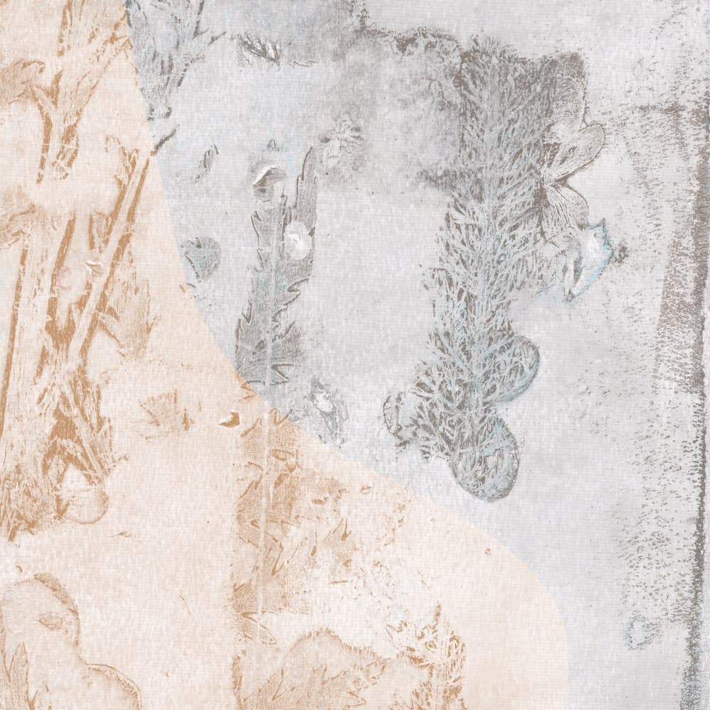 Organic Abstract Impression by Dina Dankers — canvas wall art