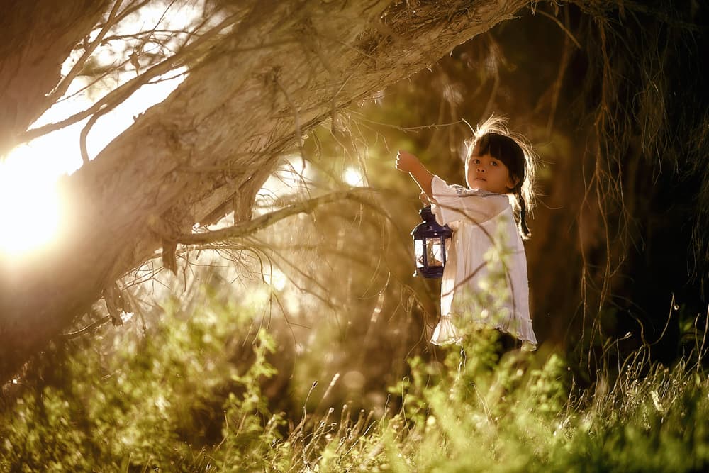 Forest Lantern Glow by Despird Zhang — canvas wall art