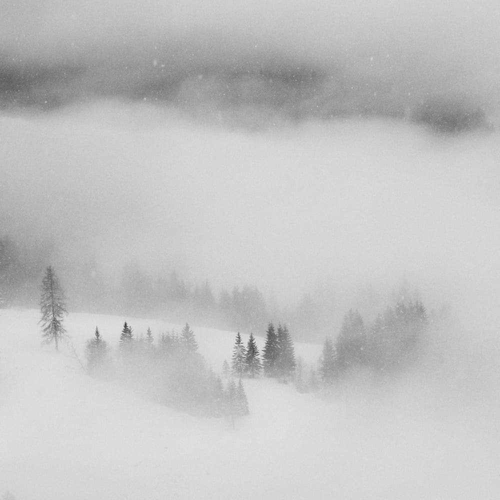 Ethereal Winter Forest by Marchevca Bogdan — canvas wall art