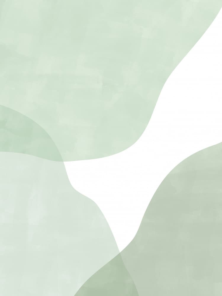 Soft Sage Curves by Elena Ristova — canvas wall art