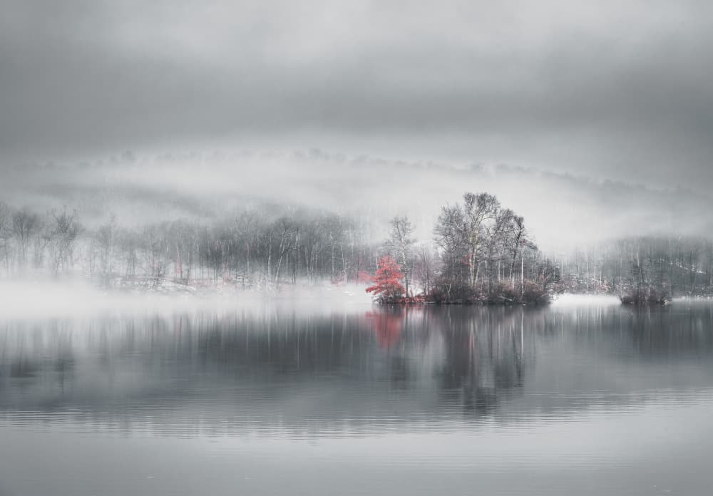 Red Tree Winter Lake by Wei (David) Dai — canvas wall art