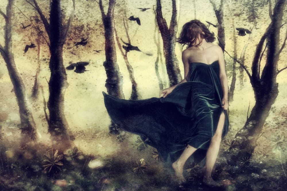 Enchanted Forest Woman by Charlaine Gerber — canvas wall art