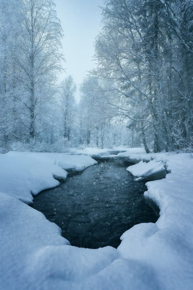 Winter Forest Stream by Javier de la Torre — canvas wall art