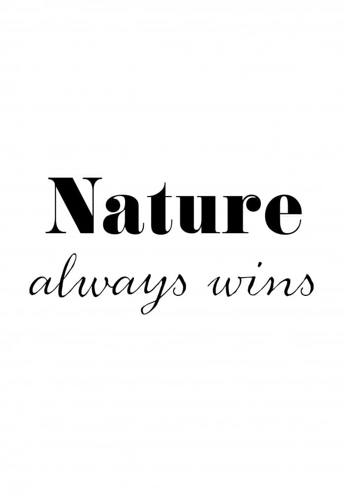 Nature Always Wins by Pictufy Studio II — canvas wall art