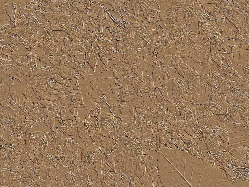 Embossed Leaf Pattern by Santhosh ch — canvas wall art