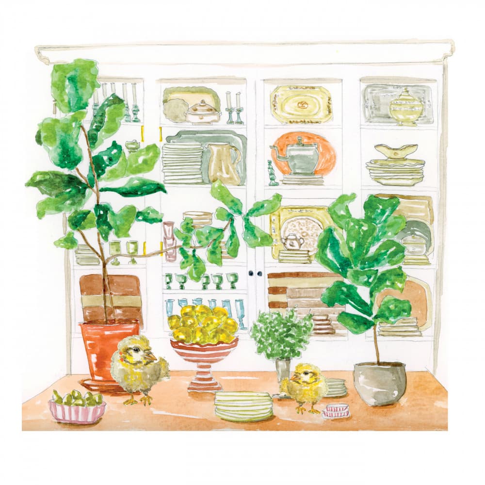 Cozy Kitchen Chicks by Breanna Megan Studio — canvas wall art