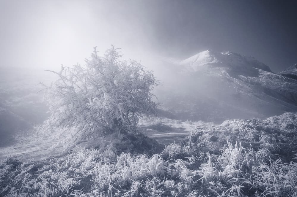 Frosted Mountain Morning by Chris Kaddas — canvas wall art