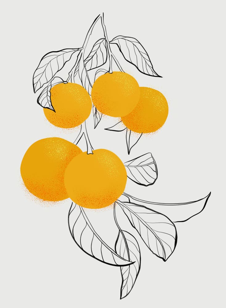 Botanical Orange Branch by Rosana Laiz Blursbyai — canvas wall art
