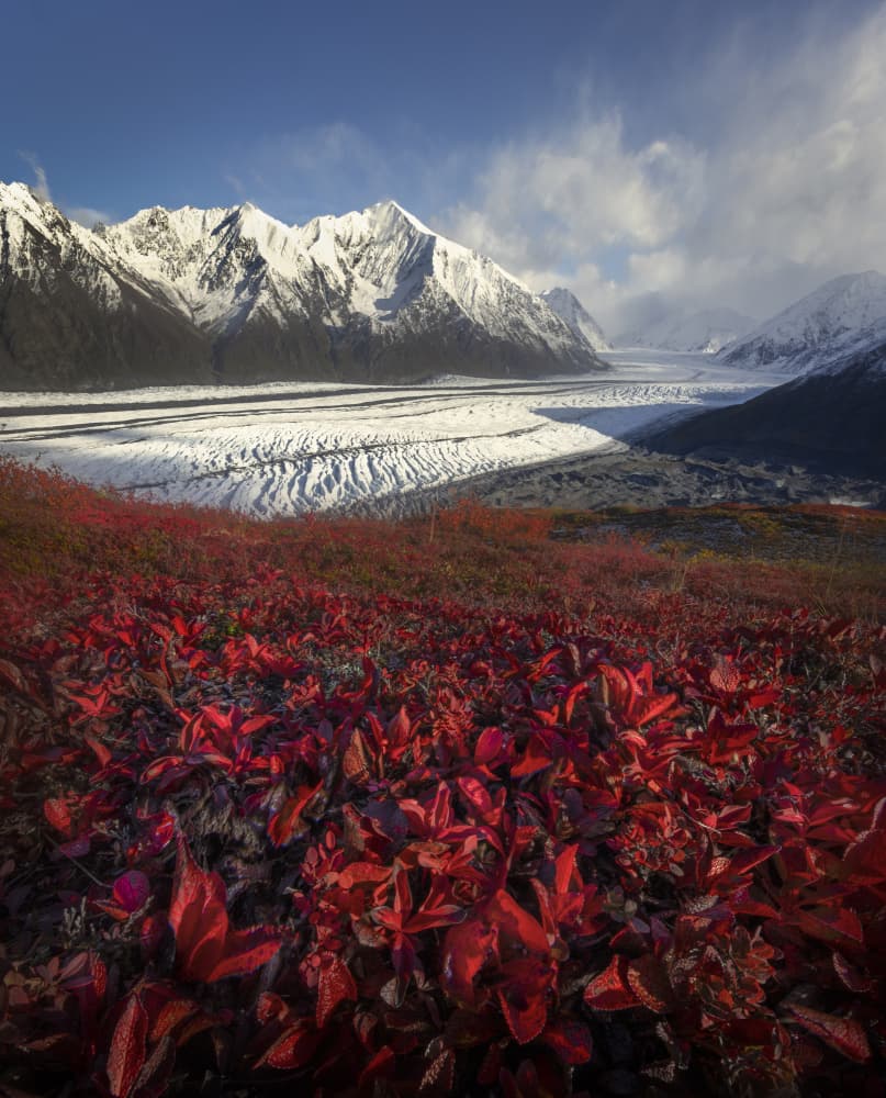 Red Leaves Glacier Vista by Raimondo Restelli — canvas wall art