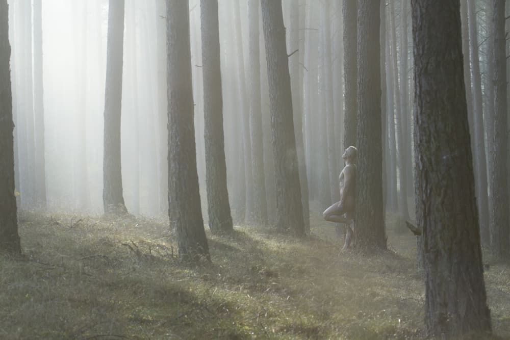 Misty Forest Nude by Leszek Paradowski — canvas wall art