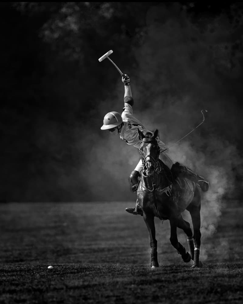 Dramatic Polo Action by Rob Li — canvas wall art