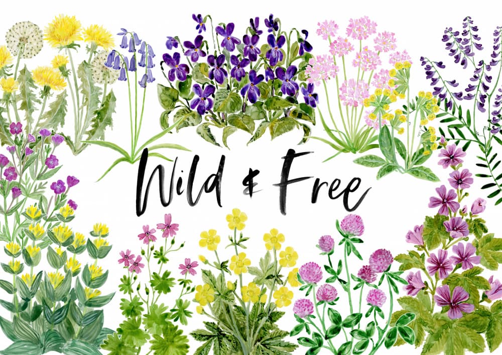 Wild and Free Wildflowers by Rosana Laiz Blursbyai — canvas wall art
