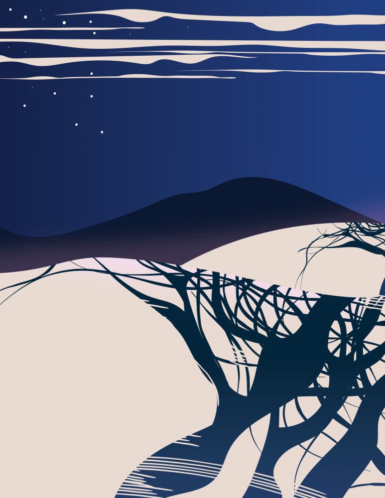 Stars Over Bare Trees by Nicholas — canvas wall art
