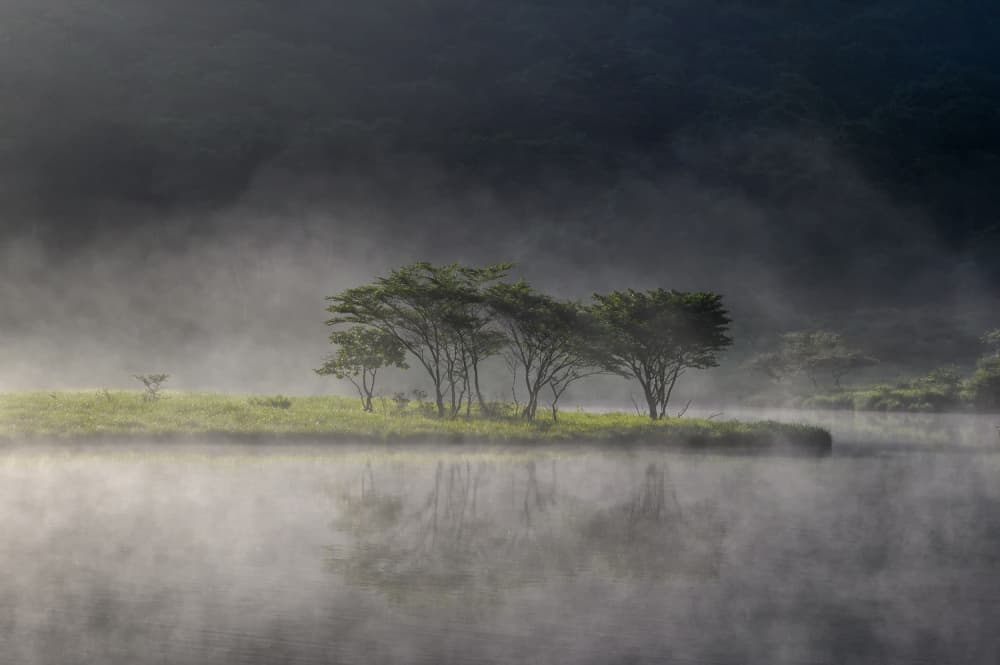 Misty Morning Lake by K_Tsunoda — canvas wall art