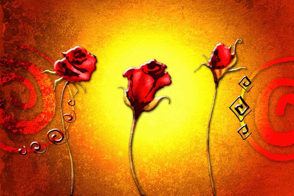 Golden Glow Roses by Rafal Kulik — canvas wall art