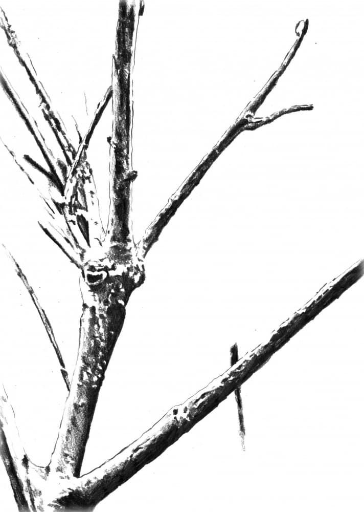 Frozen Winter Branches by Kulik — canvas wall art