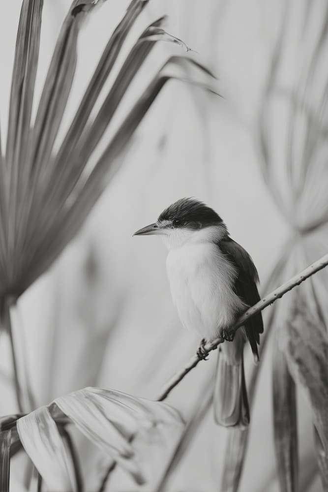 Exoticbirdno01 by Treechild — canvas wall art