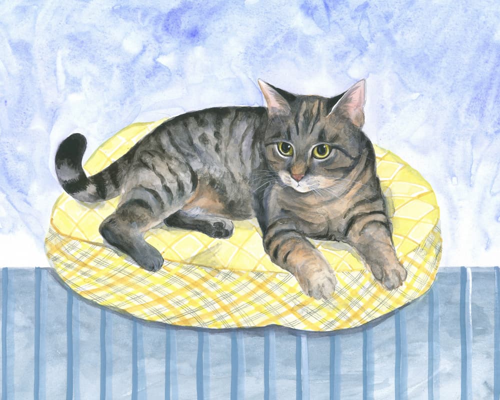 Pillow Cat by Isabelle Brent — canvas wall art