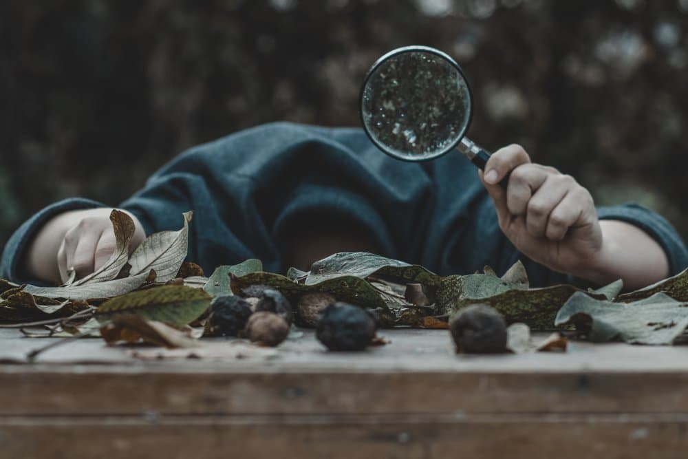 Autumn Discovery with Magnifying Glass by Olessya Mikhailova — canvas wall art