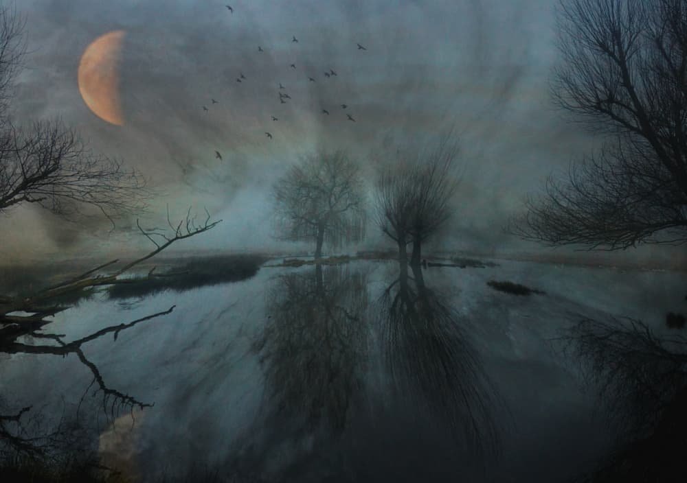 Misty Moon Over Water by Robert Fabrowski — canvas wall art