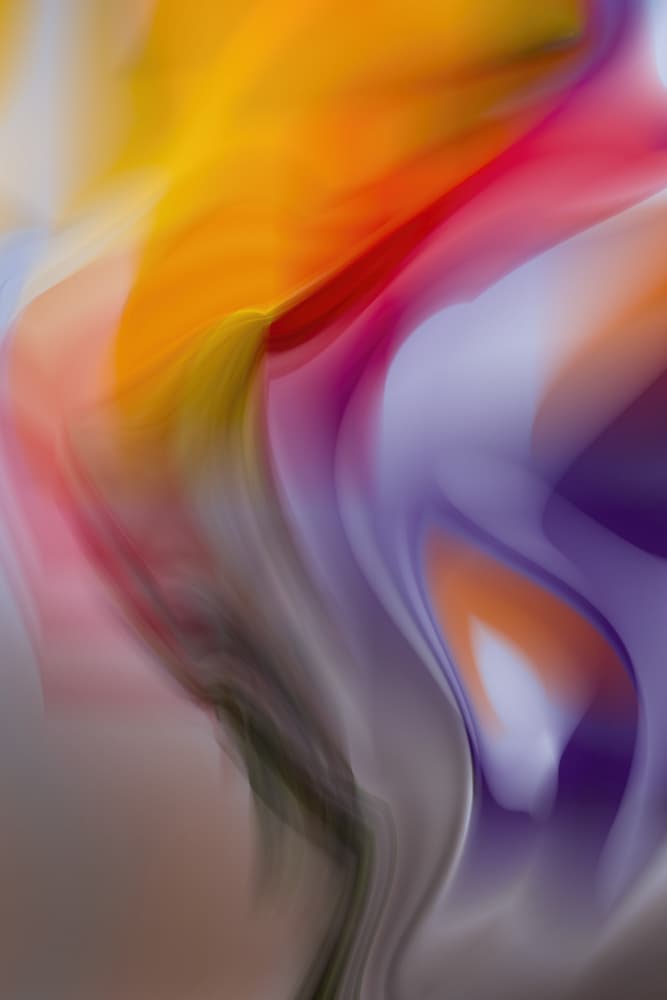 Vibrant Color Swirls by Sonya Liu — canvas wall art