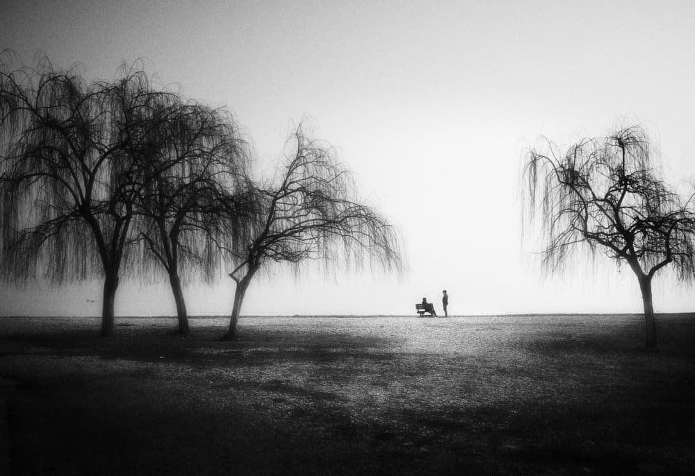 Lakeside Willows and Figures by Alessandro Accordini — canvas wall art