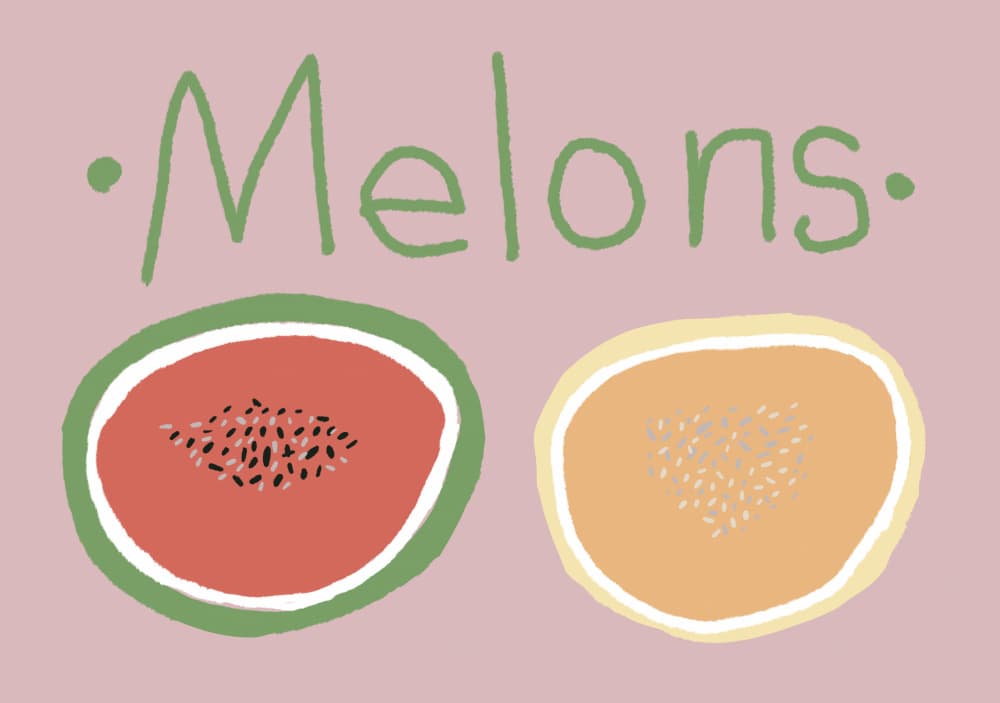 Sweet Melon Slices by Sharyn Bursic — canvas wall art