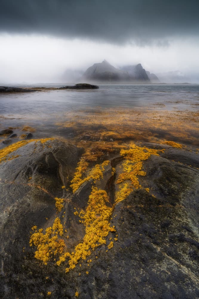 Moody Nordic Coast by Adam Pachula — canvas wall art