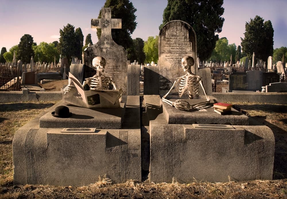 Cemetery Skeletons Reading by Daniel Murphy — canvas wall art
