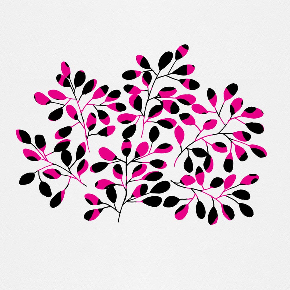 Graphic Pink Black Leaves by Michele Channell — canvas wall art