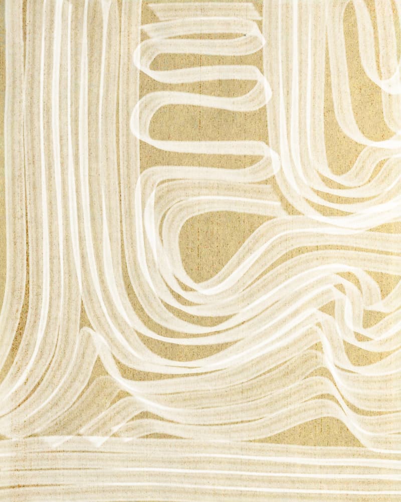 Flowing Organic Lines by Josie George — canvas wall art