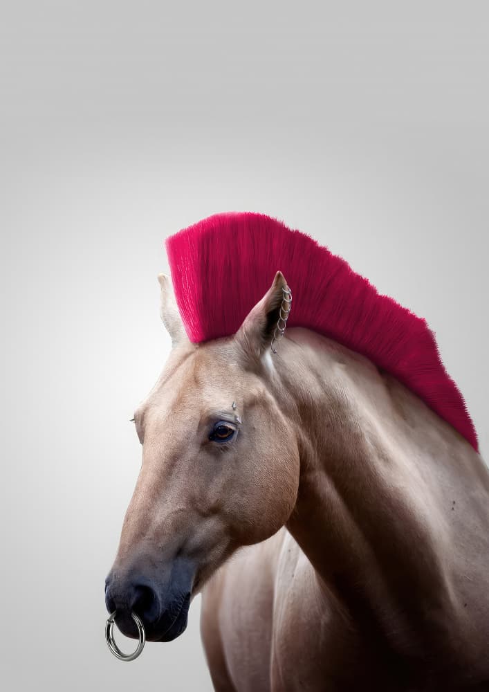 Pink Mohawk Horse by Artem Pozdniakov — canvas wall art