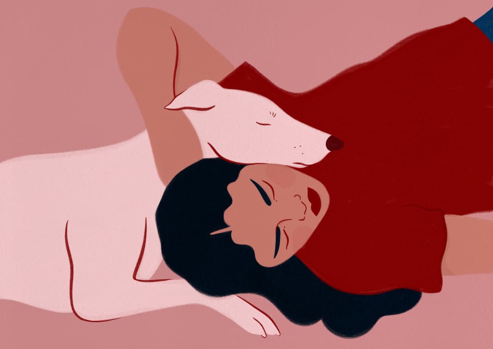 Peaceful Dog Companions by Ida Alvarsson — canvas wall art