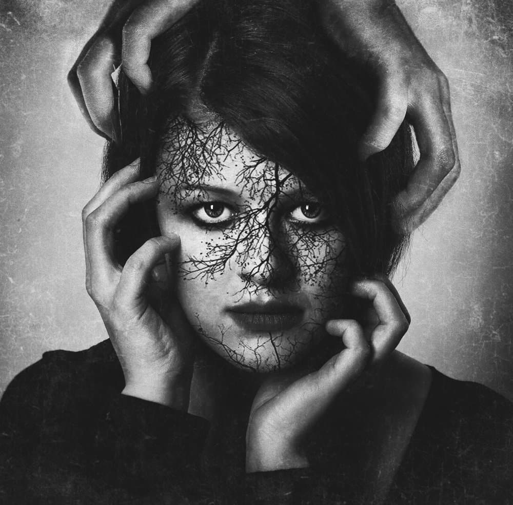 Untitled by Sandra Ulfig ARPS — canvas wall art
