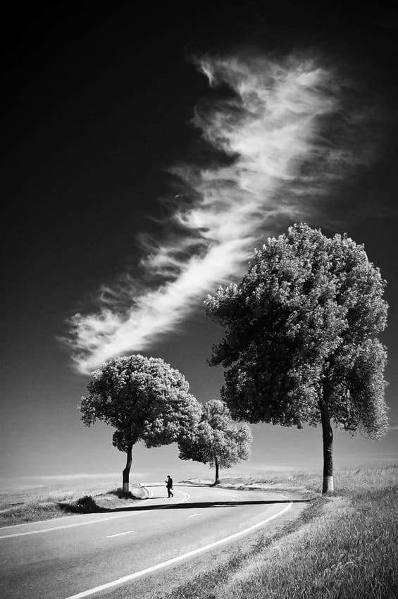 Winding Road Lone Walker by Padurariu Alexandru — canvas wall art