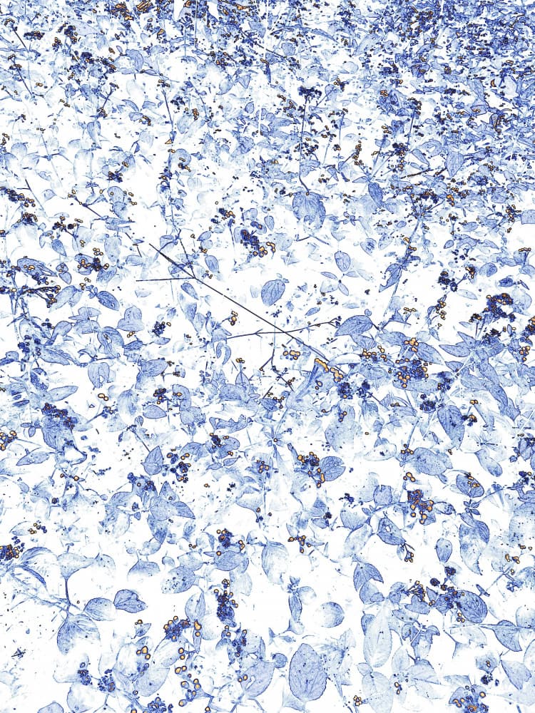 Frosted Blue Foliage by Santhosh ch — canvas wall art