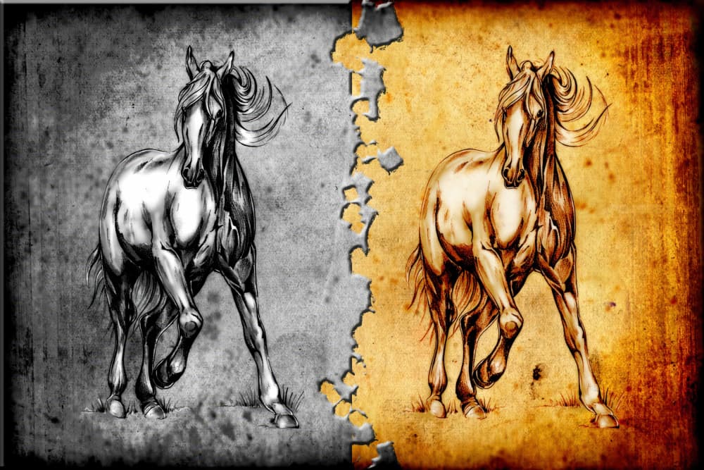 Dual Tone Horse Drawing by Rafal Kulik — canvas wall art