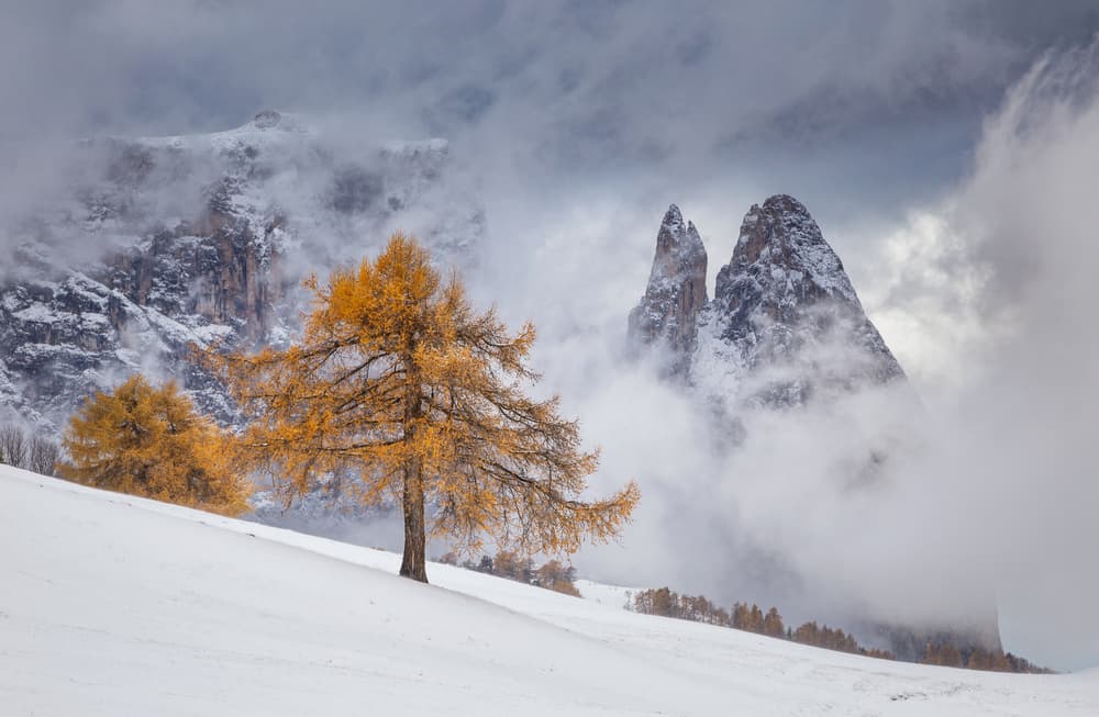 Misty Golden Dolomites by Lazar Ioan Ovidiu — canvas wall art