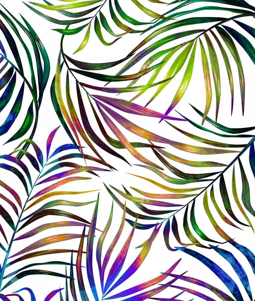Vibrant Tropical Palms by Uma Gokhale — canvas wall art