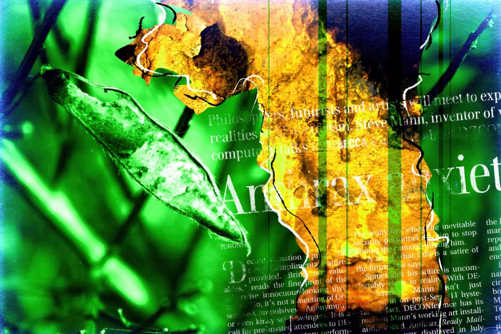 Distressed Green Abstract by Rafal Kulik — canvas wall art