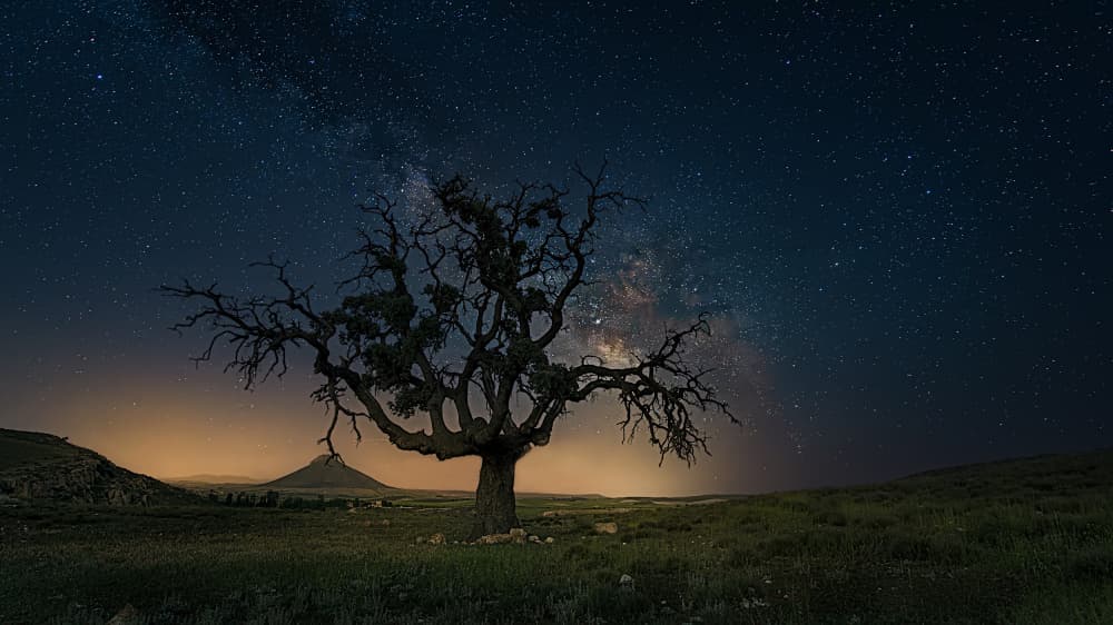 Milky Way Lone Tree by Jose Antonio Triviño Sanchez — canvas wall art