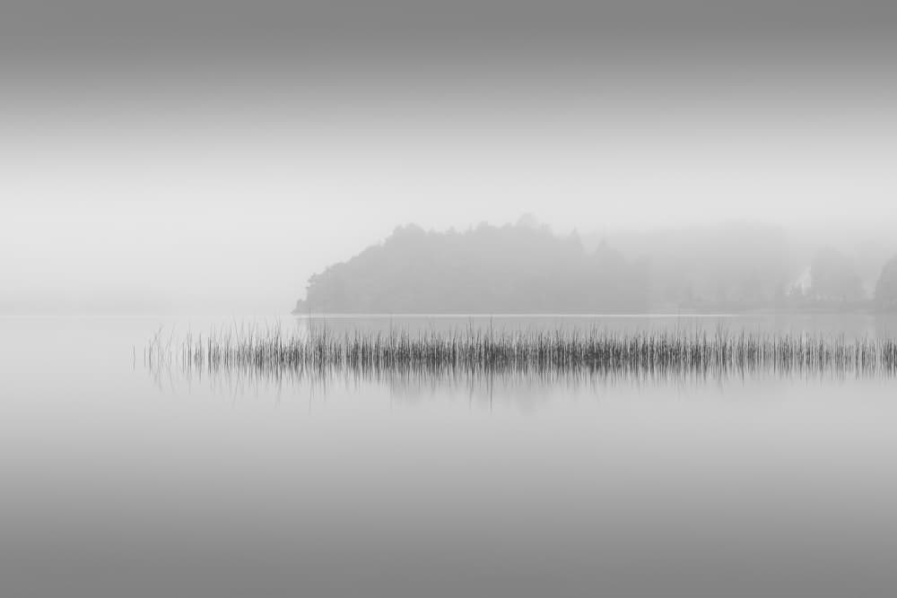 Misty Lake Reeds by Benny Pettersson — canvas wall art