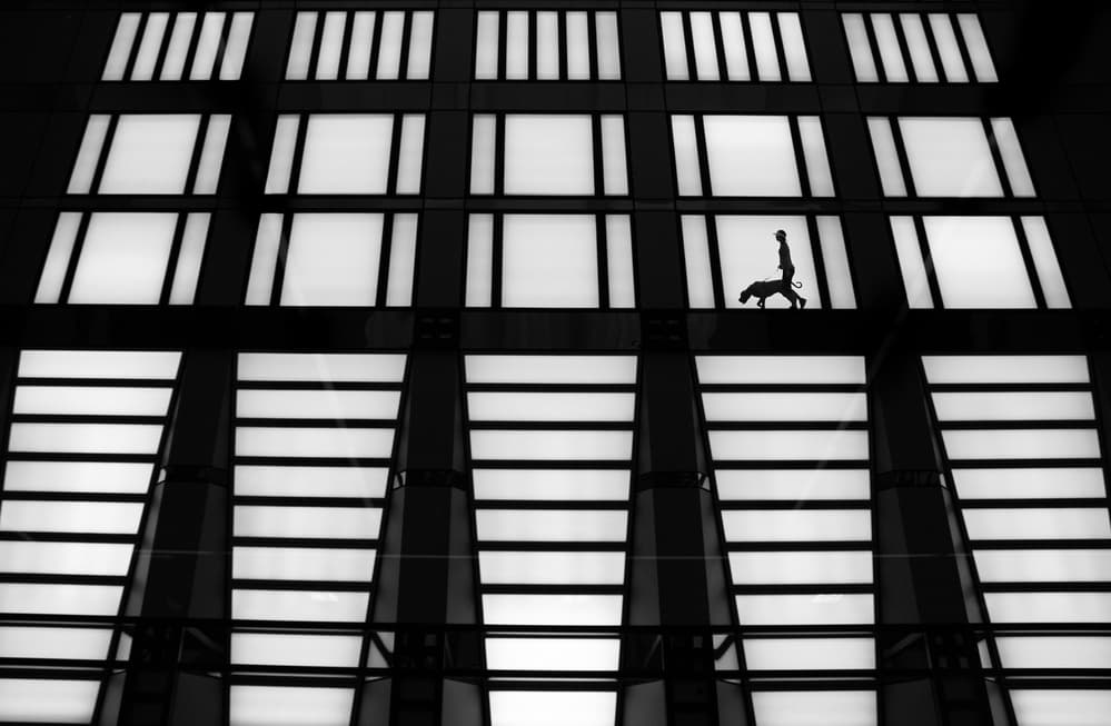 Urban Dog Walker Silhouette by Jacqueline Hammer — canvas wall art