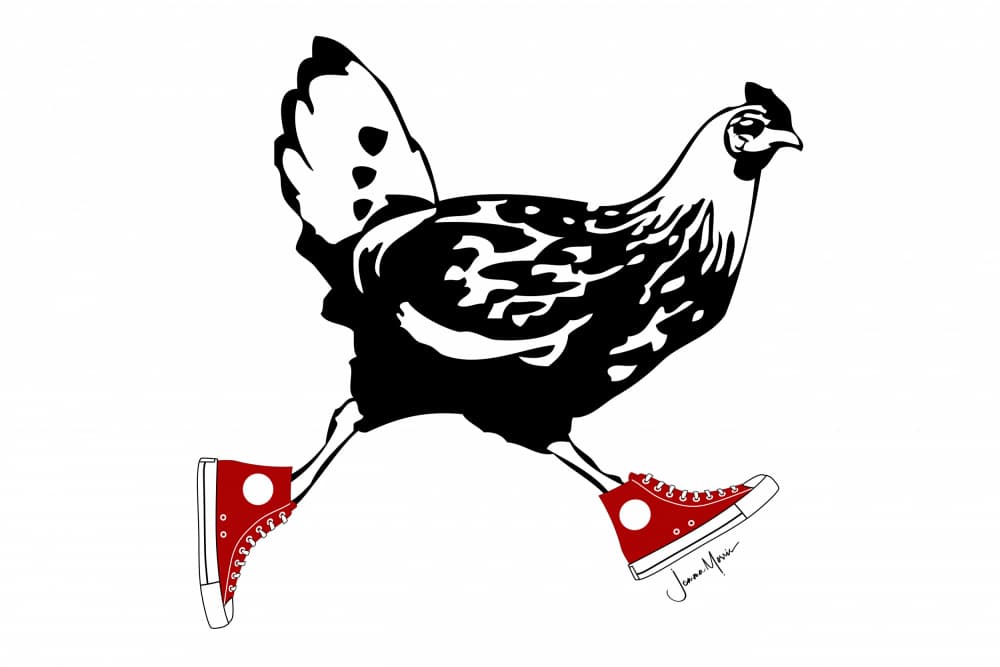 Chicken In Red Sneakers by Jemma Morris — canvas wall art