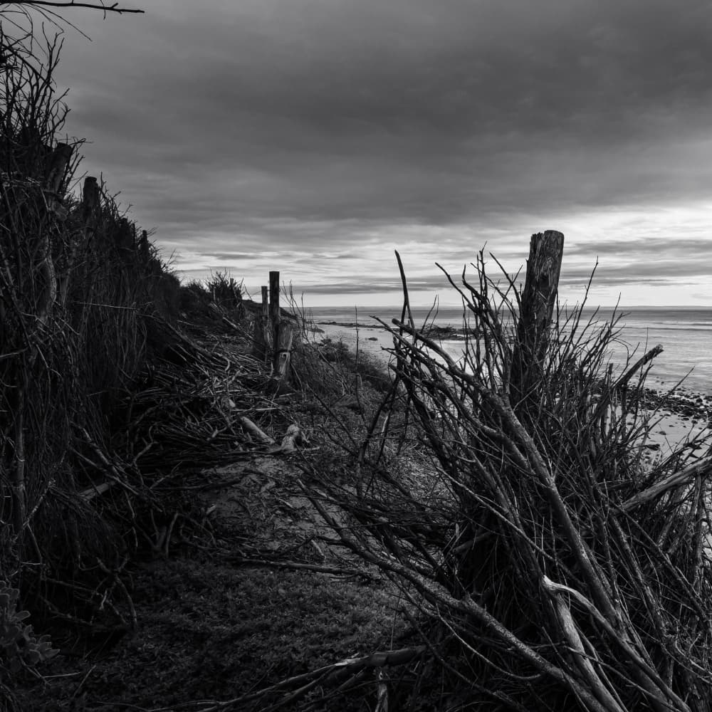 Bleak Coastal Landscape by Ray Truter — canvas wall art