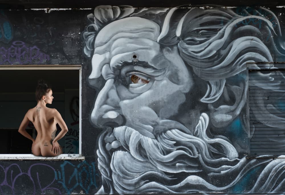 Eye to Eye by Colin Dixon — canvas wall art