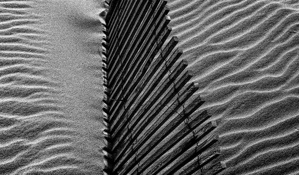 Wavy Sand Fence by Paulo Abrantes — canvas wall art