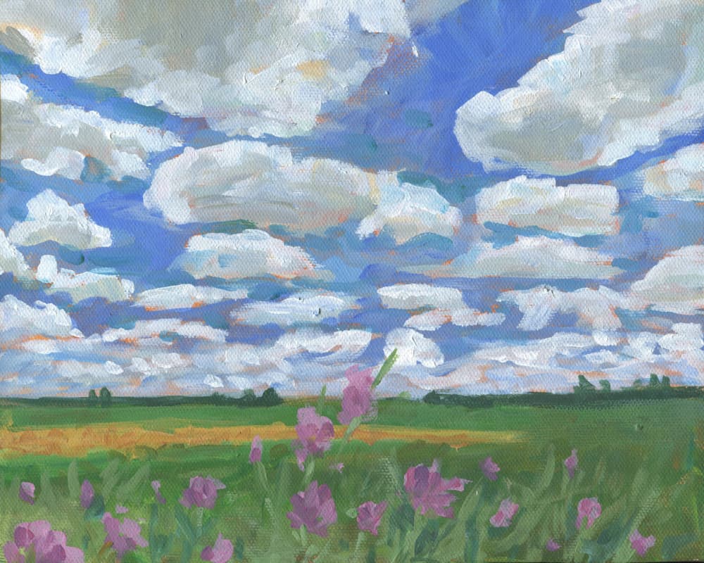 Summer Sky Over Wildflowers by Carrie Arnold — canvas wall art