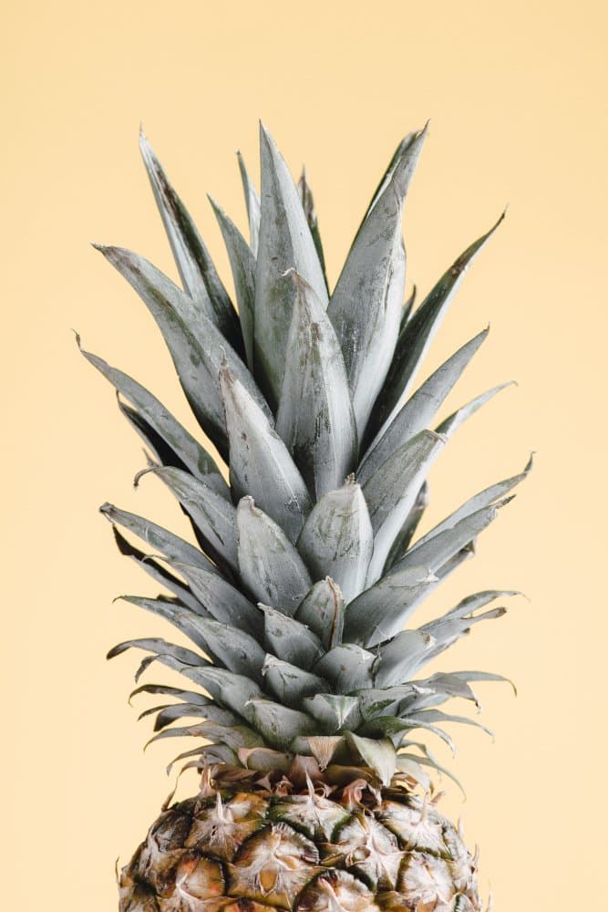 Golden Pineapple Peak by Pictufy Studio III — canvas wall art