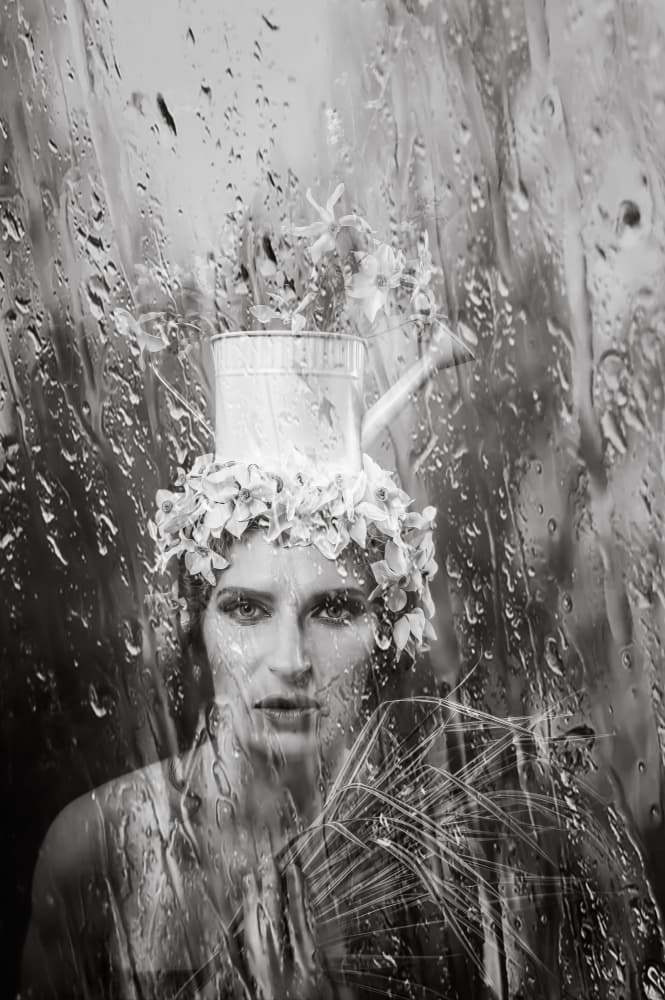 Rainy Garden Portrait by iuliana pasca — canvas wall art